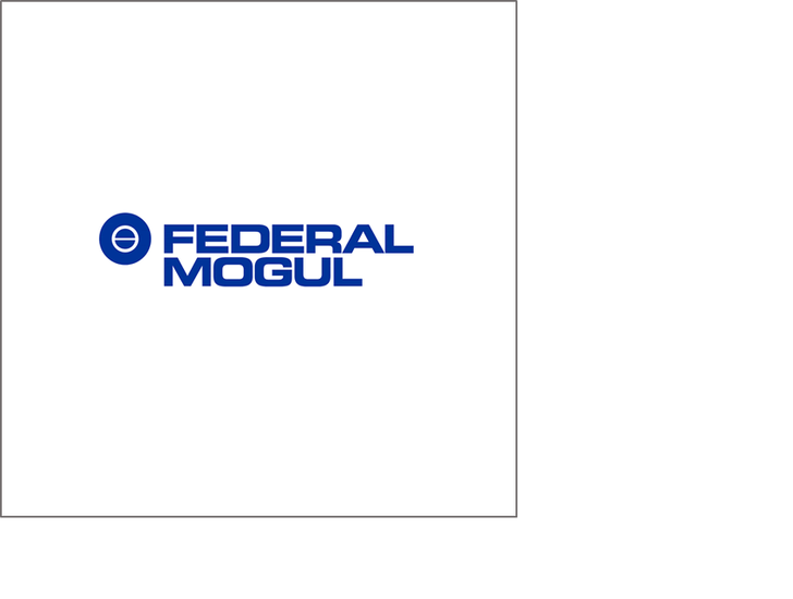 FEDERAL_MOGUL